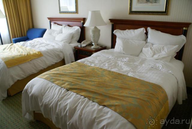 фото Skanes Palace Hotel