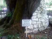 Мой отзыв о поездке в Абхазию. Июль 2011