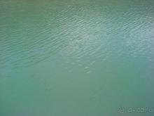 Альбом рассказа "Мой отзыв о поездке в Абхазию. Июль 2011"