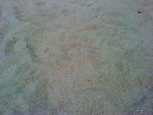 Мой отзыв о поездке в Абхазию. Июль 2011