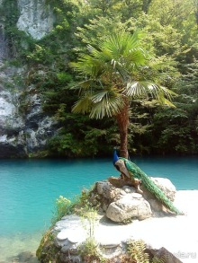 Мой отзыв о поездке в Абхазию. Июль 2011