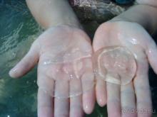 Мой отзыв о поездке в Абхазию. Июль 2011