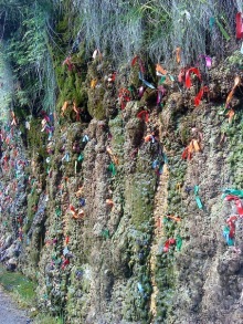 Мой отзыв о поездке в Абхазию. Июль 2011