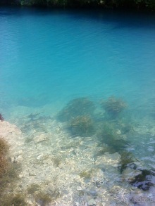 Мой отзыв о поездке в Абхазию. Июль 2011