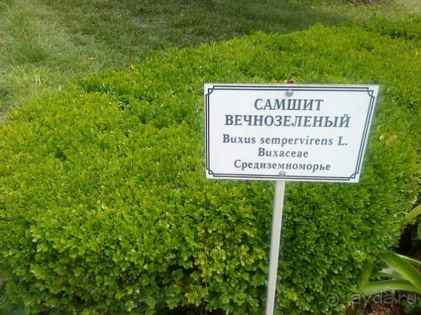 Мой отзыв о поездке в Абхазию. Июль 2011