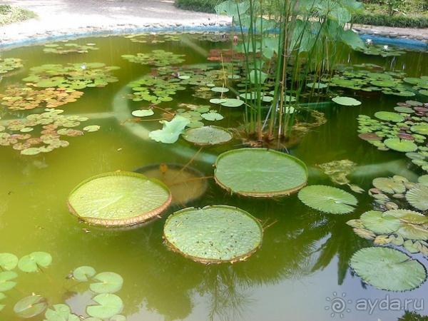 Мой отзыв о поездке в Абхазию. Июль 2011