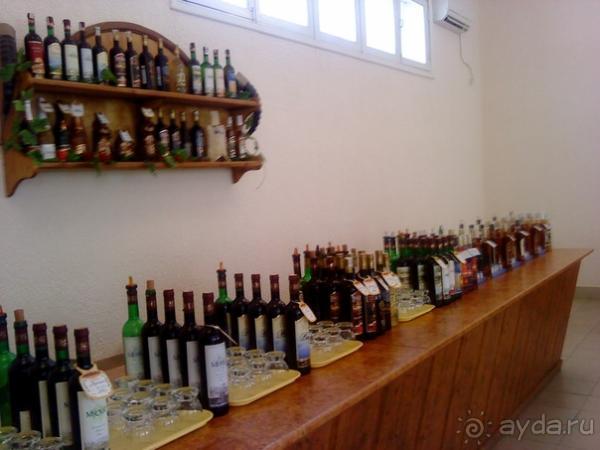 Мой отзыв о поездке в Абхазию. Июль 2011