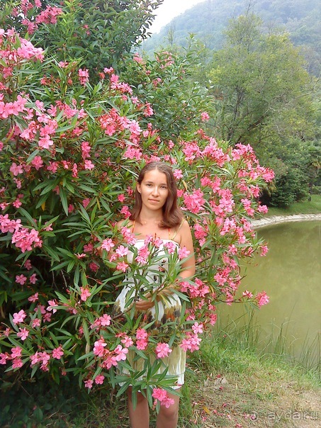 Мой отзыв о поездке в Абхазию. Июль 2011