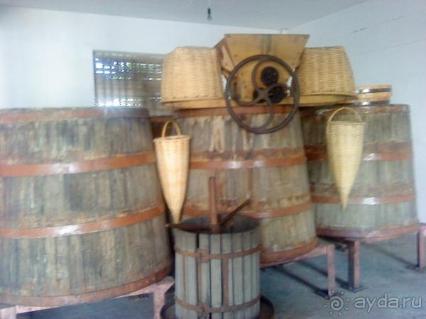 Мой отзыв о поездке в Абхазию. Июль 2011