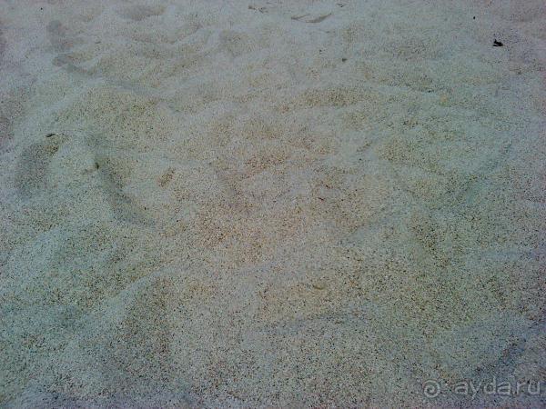 Мой отзыв о поездке в Абхазию. Июль 2011