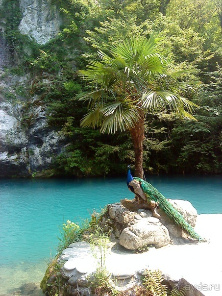 Мой отзыв о поездке в Абхазию. Июль 2011