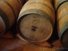 Флоренция. С вином без вины. Гид.