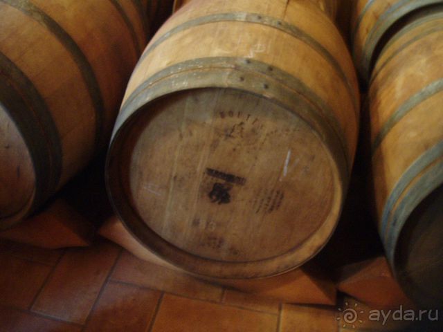 Флоренция. С вином без вины. Гид.