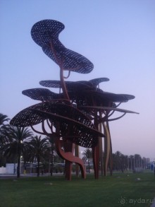 фото Palas Pineda