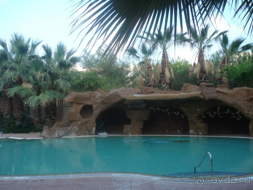 Шампанское по утрам!