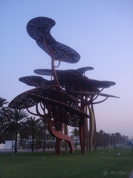 Шампанское по утрам!