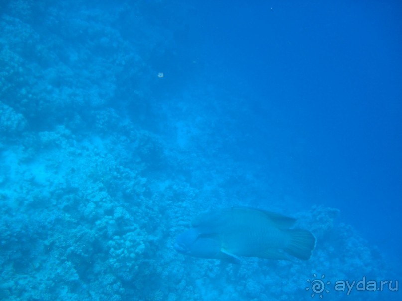 фото Melton Beach Resort 