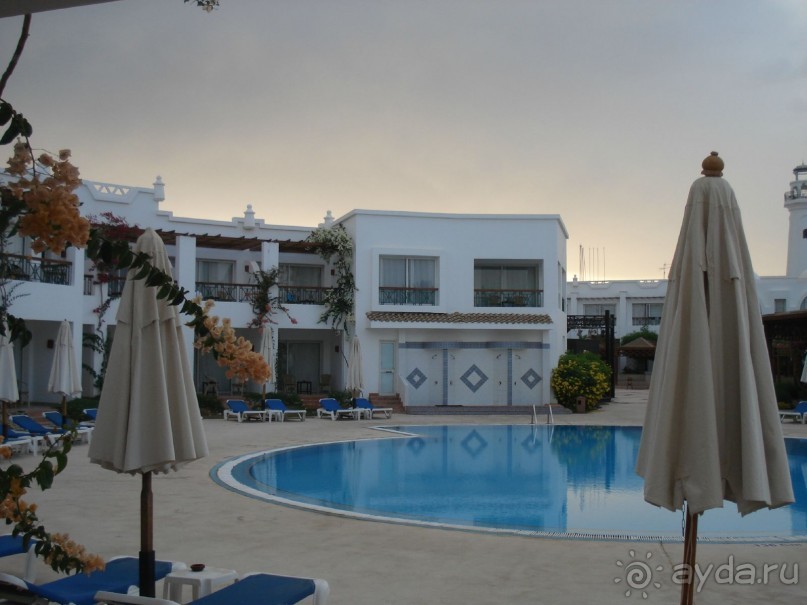 Лицо отеля - огромная рыба Наполеон, приплывающая по утрам к пляжу