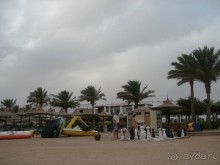 Лицо отеля - огромная рыба Наполеон, приплывающая по утрам к пляжу