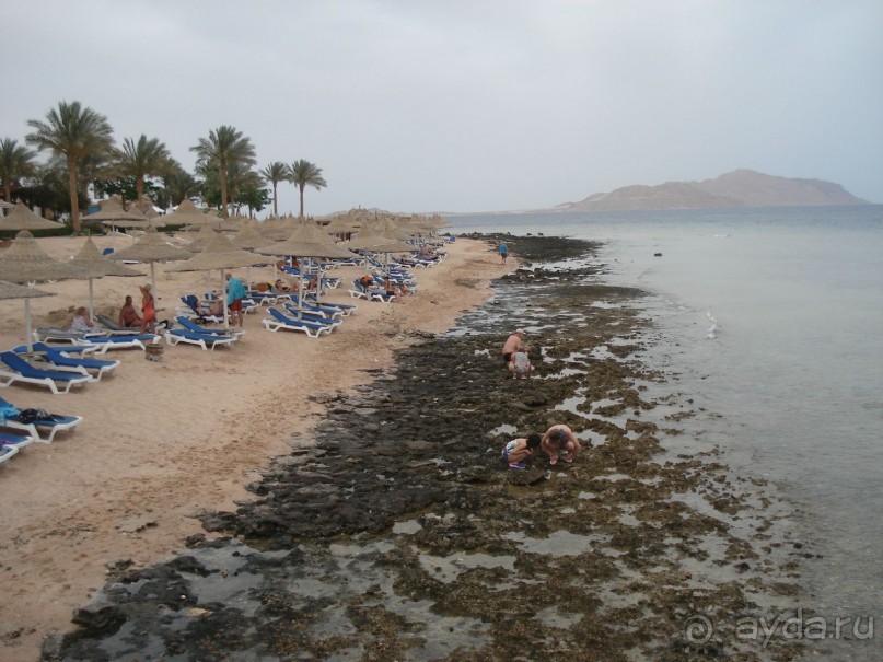 фото Melton Beach Resort 