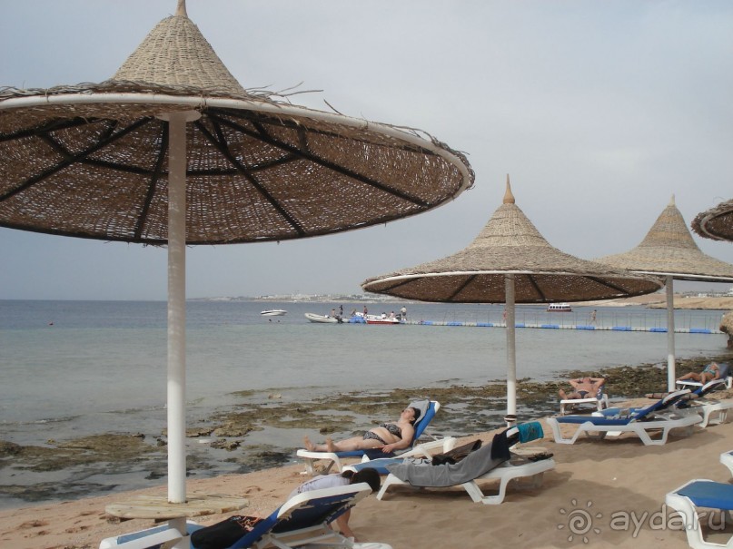 Лицо отеля - огромная рыба Наполеон, приплывающая по утрам к пляжу