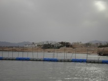 Лицо отеля - огромная рыба Наполеон, приплывающая по утрам к пляжу