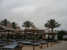 фото Melton Beach Resort 