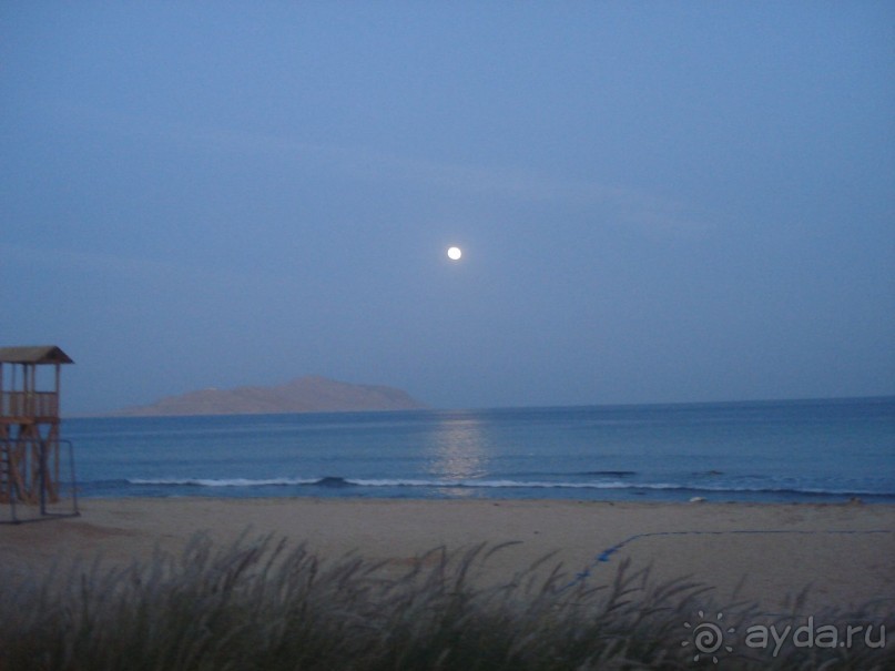 Лицо отеля - огромная рыба Наполеон, приплывающая по утрам к пляжу
