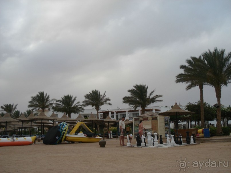 Лицо отеля - огромная рыба Наполеон, приплывающая по утрам к пляжу