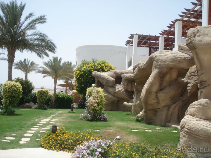 Лицо отеля - огромная рыба Наполеон, приплывающая по утрам к пляжу