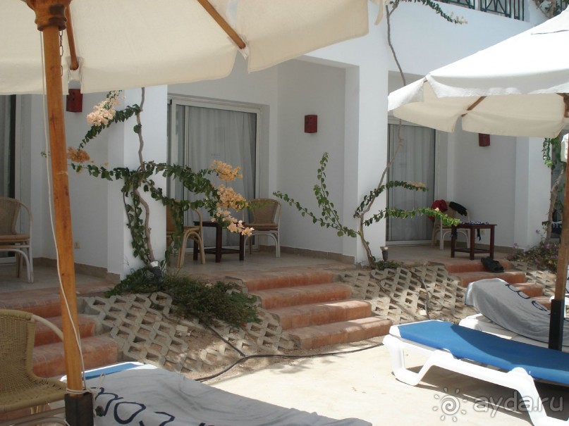 Лицо отеля - огромная рыба Наполеон, приплывающая по утрам к пляжу