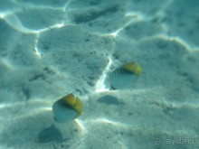 Новый Год удался!