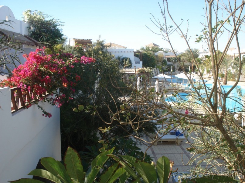 Новый Год удался!