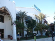 Новый Год удался!