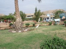 Новый Год удался!