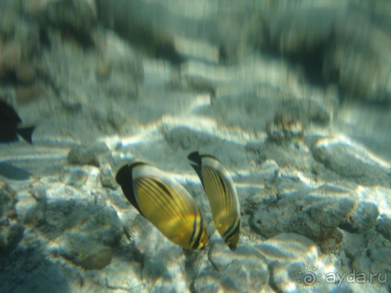 Новый Год удался!