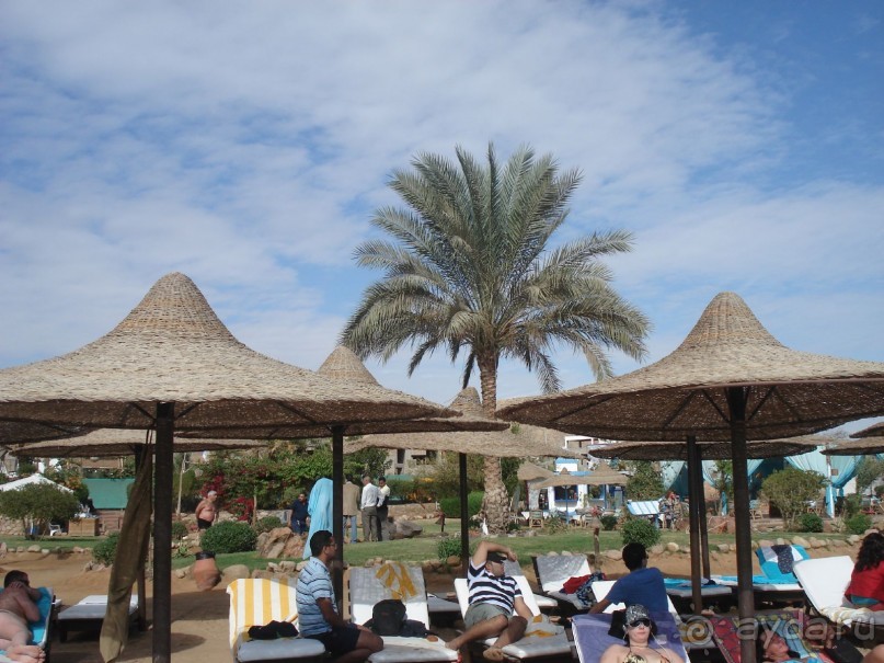 Новый Год удался!