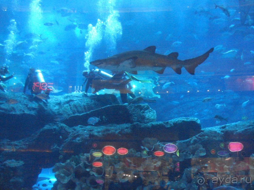 Майские праздники