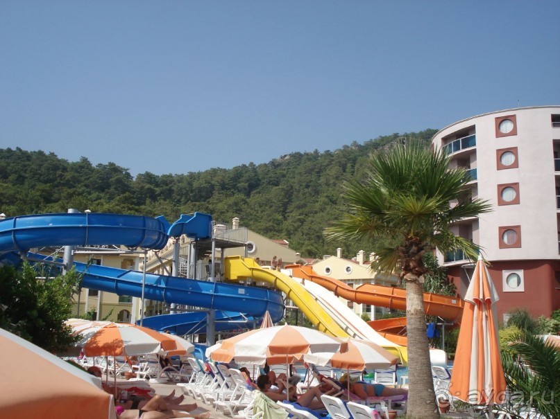 фото Мечта у моря