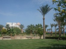 фото Aristea Hotel