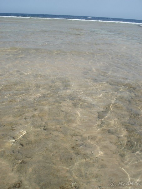 фото Aristea Hotel