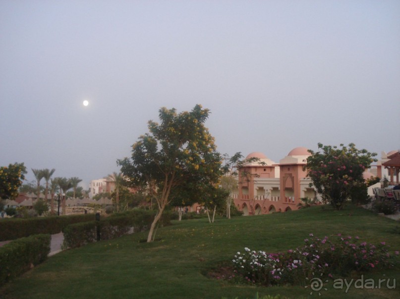 фото Aristea Hotel