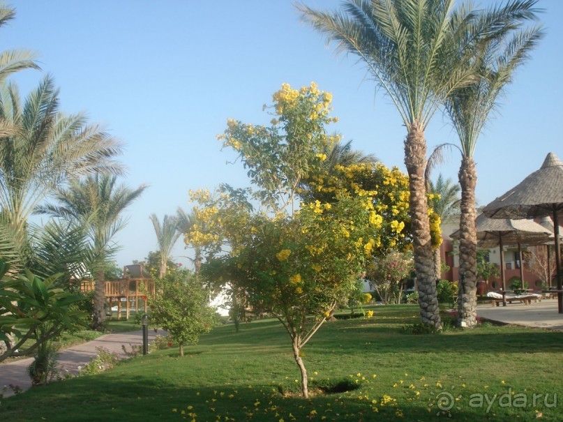 фото Aristea Hotel