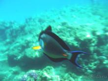 Демократичный , удобный, красивый, чистый