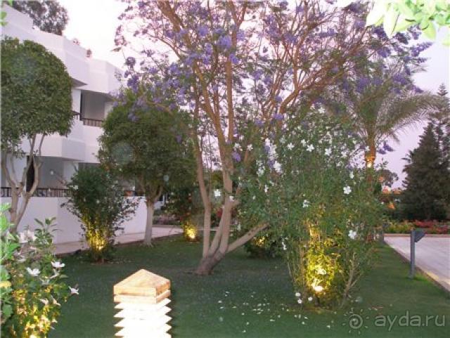 фото Кубань