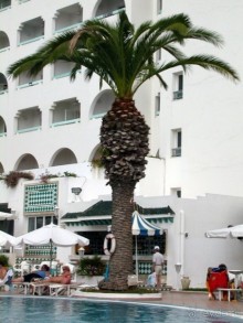 Бассейн отеля  Sol Azur. Спасасение на водах