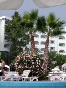 Бассейн отеля  Sol Azur. Островок уединения