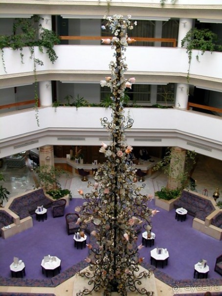 Холл отеля Sol Azur. Вид с верху