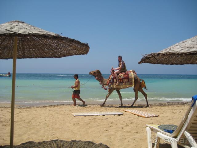 фото Royal Azur Thalassa Golf