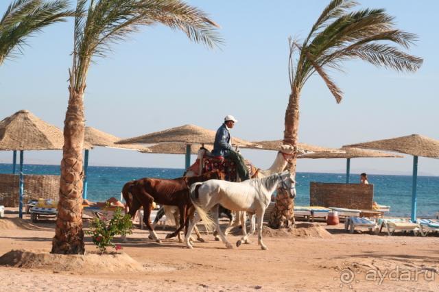 фото Sirocco Beach